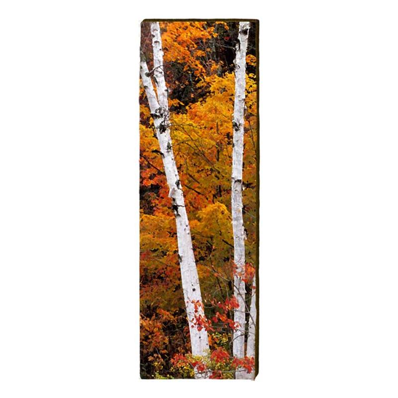 Fall Birch Trees Wall Art